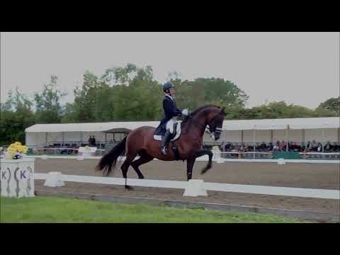 2019-07-27 - João Torrão e Equador - Hickstead Grand Prix Special 75.8%