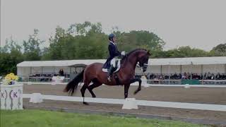 Le dressage portugais en ordre de marche pour les Jeux Olympiques de Tokyo