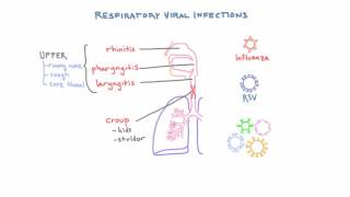 Respiratory Viruses - Clinical Presentations and Diagnosis