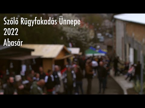 Szőlő Rügyfakadás Ünnepe - Abasár 2022