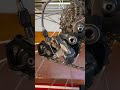 How To Fix BIKE CHAIN SKIPPING SLIPPING JUMPING GEARS When Pedaling Shorts Bikerepair