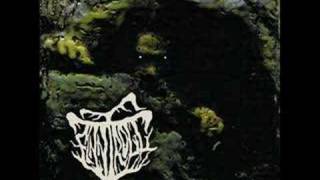 Finntroll - Rivfader