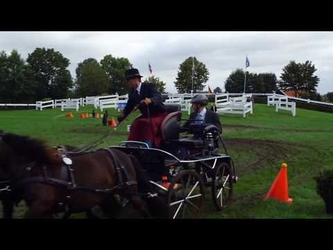 Fahrturnier Ostenfelde 19.8.2017