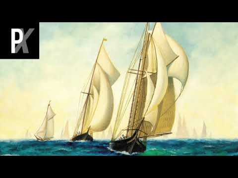 Xander Niels - Wadafa