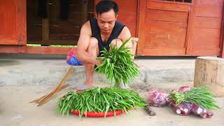 Entrepreneurial journey: Harvesting water spinach, digging up wild tubers to sell