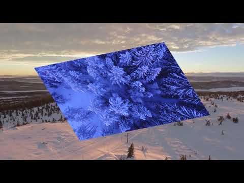 SERDAR AYYILDIZ feat. SEREN UZUN "PULİM"