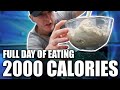 Full Day Of Eating UNDER 2000 CALORIES