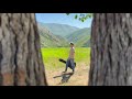 Ian Fabiano - Poison Honey (Official Video)