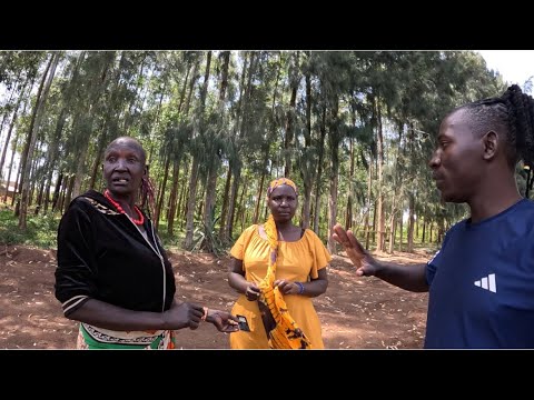 The Ungrateful !!! Building Grandma’s House