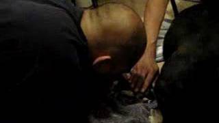 Miracle&#39;s birth...