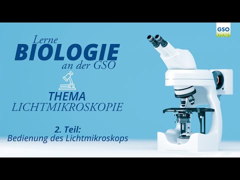 BEDIENUNG DES LICHTMIKROSKOPS | TEIL 2 | Lerne BIOLOGIE an der GSO