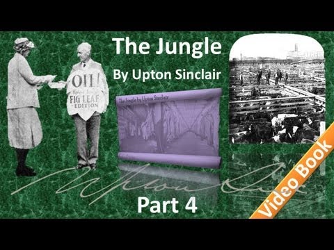 Part 4 - The Jungle Audiobook by Upton Sinclair (Chs 13-17)