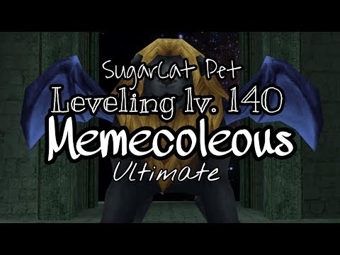 Toram Online - SugarCat Pet Leveling ( Memecoleous - Ultimate ) build lv.150
