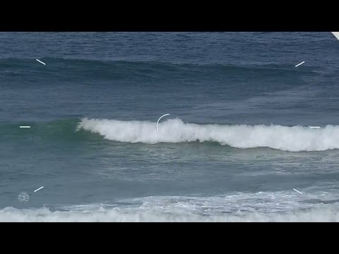 Bronte Macaulay Edges Past Van Dijk