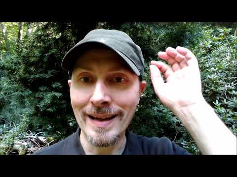 Die Eibe - Baum der Unterwelt & machtvollen Magie