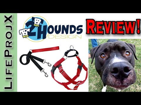 No Pull Dog Harness Review 2 Hounds Freedom Design - Will it Stop Your Dog Pulling on the Leash?