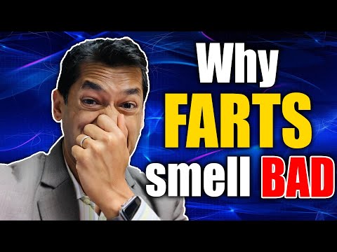 download lagu mp3 mp4 What Causes Egg Farts, download lagu What Causes Egg Farts gratis, unduh video klip What Causes Egg Farts