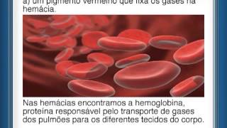 Superaulas Fuvest e Unicamp 2012 - 12.11 - Química, Física e Biologia