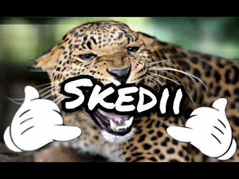 Skedii x DJ riixzy 🖖😈