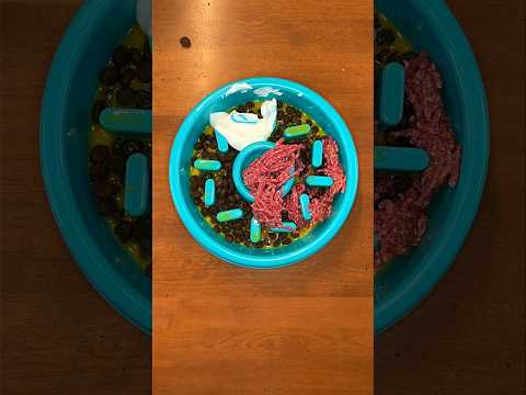 Dog food toppers & supplements for your dog 🐶  #shorts