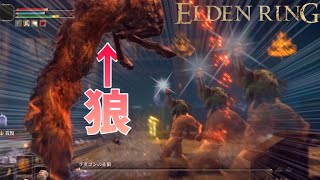 【エルデンリング】魔法学院レアルカリアに殴り込んだら狼が出てきた件 #11 ELDEN RING 実況プレイ