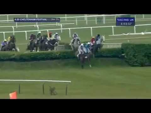 Glenfarclas Handicap Chase (Cross Country) 11/03/15 Full Race