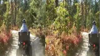 preview picture of video 'Bull Gap ATV Trail in 3D Side by Side'