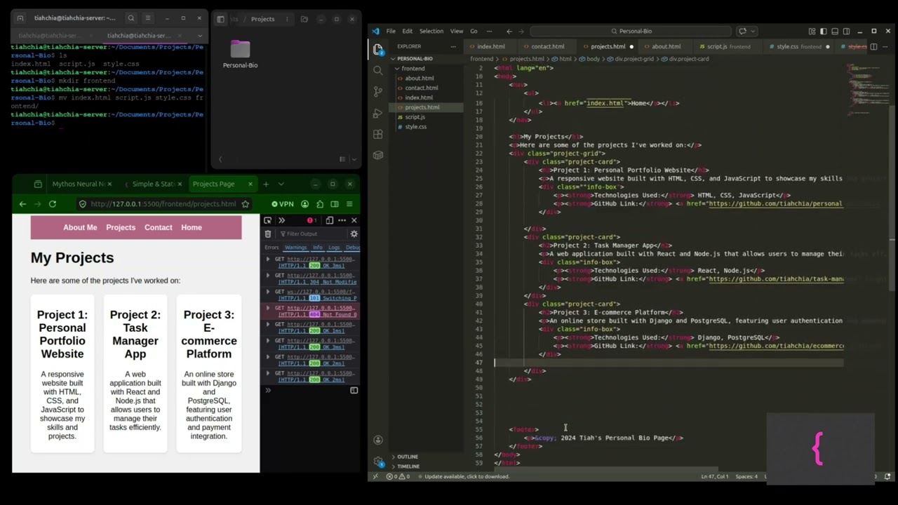 CSS Hover Effects (Interactive Project Cards)