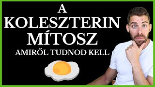 Magas Koleszterin - Tényleg Veszélyes? LDL és HDL szintek megértése