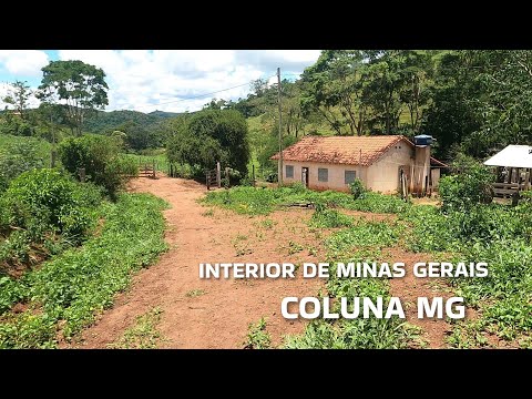 INTERIOR DE MINAS GERAIS | PASSEIO PELA ZONA RURAL , CÓRREGO DA ONÇA E DO ENGENHO , EM COLUNA MG