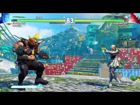 ragequit Theshyninja (karin) vs fizzy (my mans birdie)