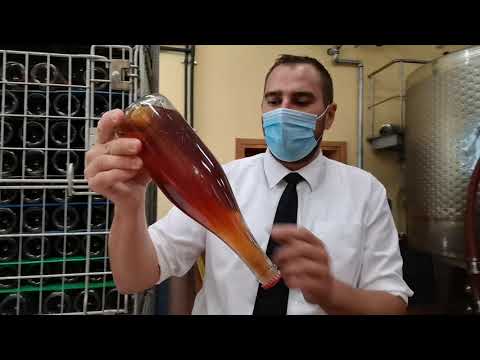 🌹🍇 Korta Katarina tour 1