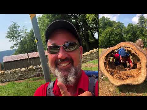 Wandern: Jura Höhenweg Nr.5 Etappe 7. / Wanderungen Schweiz, Frinvillier-Chasseral