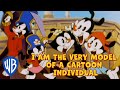 Animaniacs SING ALONG I Am The Very Model Of A Cartoon Individual WB Kids
