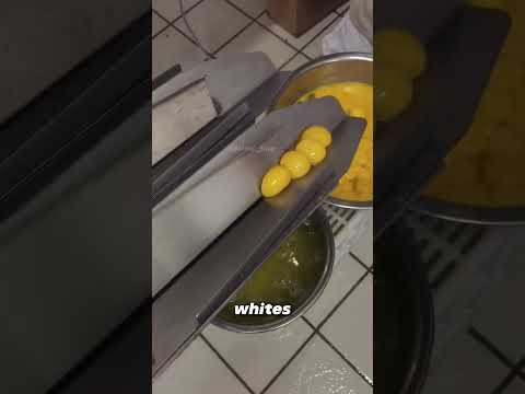 Part of a video titled Egg-Cracking Machine. - YouTube