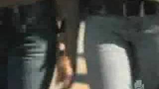 SAVE SPASHLEY: Liar Liar