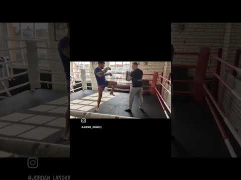 Hands and kicks mate