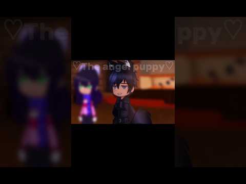 🧪Show me who you are🧪 || Gacha Nymph Meme || Aphmau Mystreet season 4 || ♡The angel puppy♡