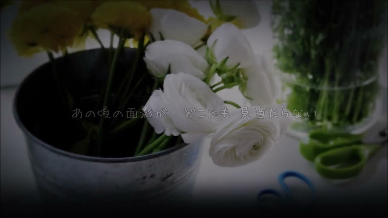 キミノテノヒラ 槇原敬之 歌詞付