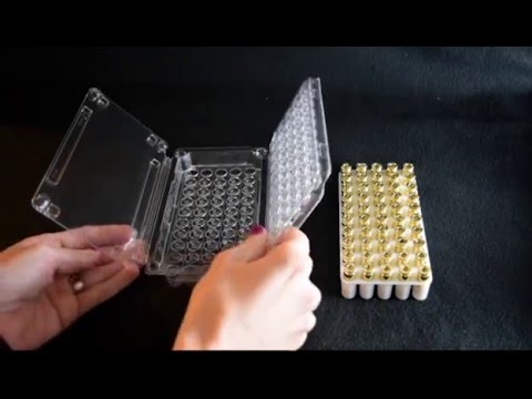 https://www.youtube.com/embed/wN7Vy5AsYTE