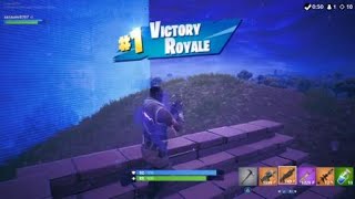 Fortnite　小学４年生息子sora ソロ 10キル　ビクロイ