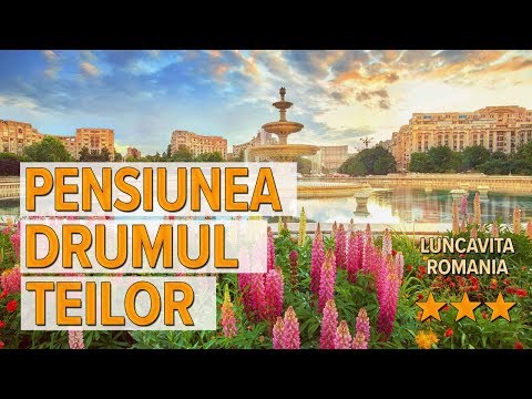 Pensiunea Drumul Teilor hotel review | Hotels in Luncavita | Romanian Hotels
