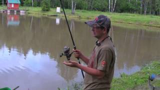 Карповое удилище siweida carp linkedin