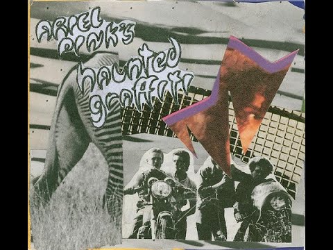 Split Your Assets - Ariel Pink's Haunted Graffiti