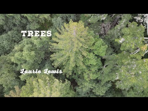 Laurie Lewis - Trees ( Official Video)
