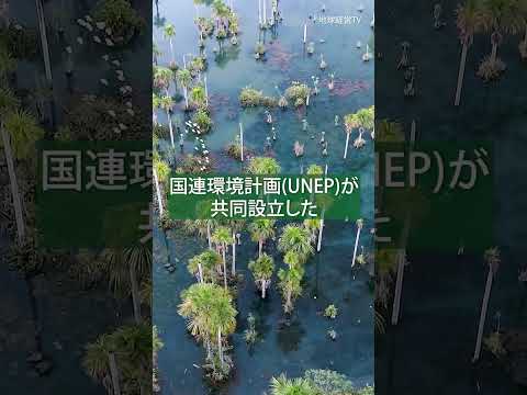 海洋は気候を加熱する