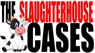 The Slaughterhouse Cases: Interpreting the 14th Amendment