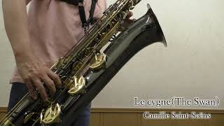 Download lagu 白鳥(カミーユ・サン=サーンス)/バリトンサクソフォン演奏/Le cygne(The Swan)(Camille Saint-Saëns) mp3 Download lagu 白鳥(カミーユ・サン=サーンス)/バリトンサクソフォン演奏/Le cygne(The Swan)(Camille Saint-Saëns) mp3