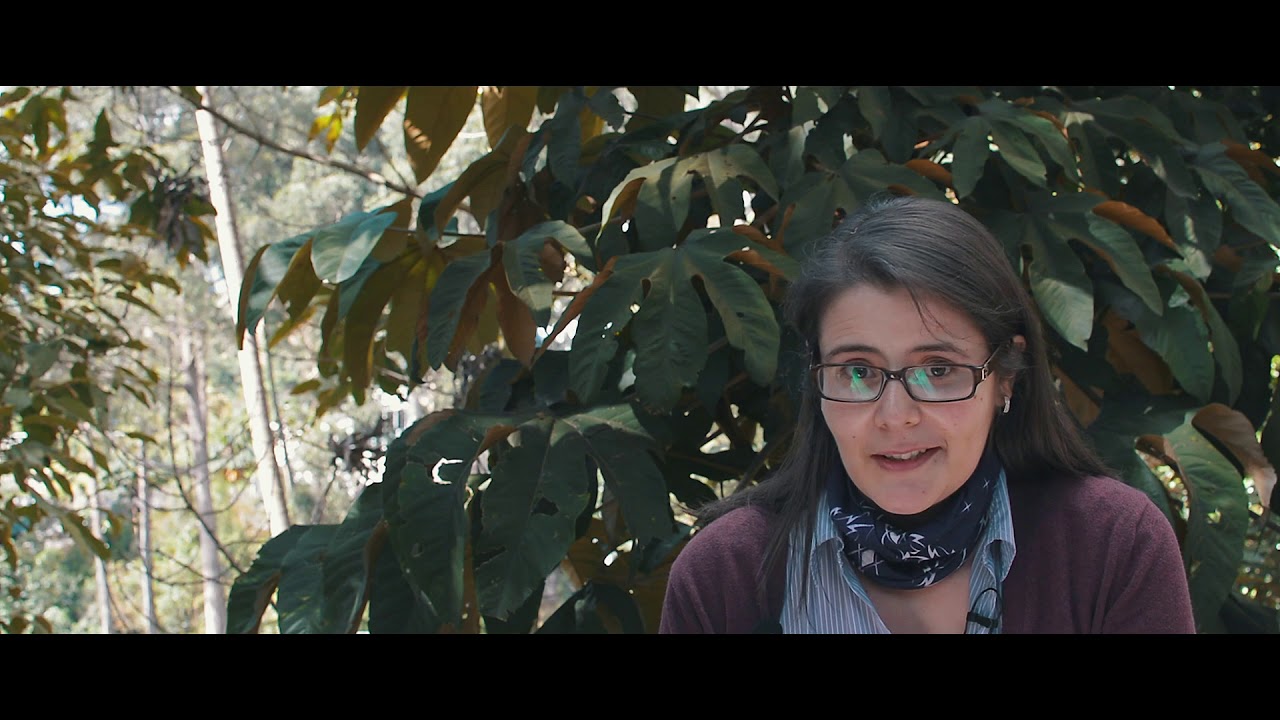 Andrey Moreno Torres-16