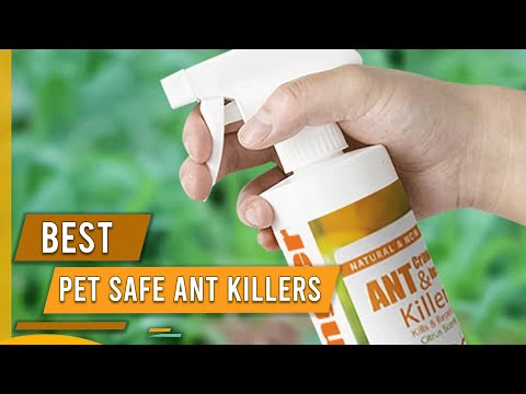 Best Pet Safe Ant Killers for Home and Kitchen in 2022 - Top 5 Review